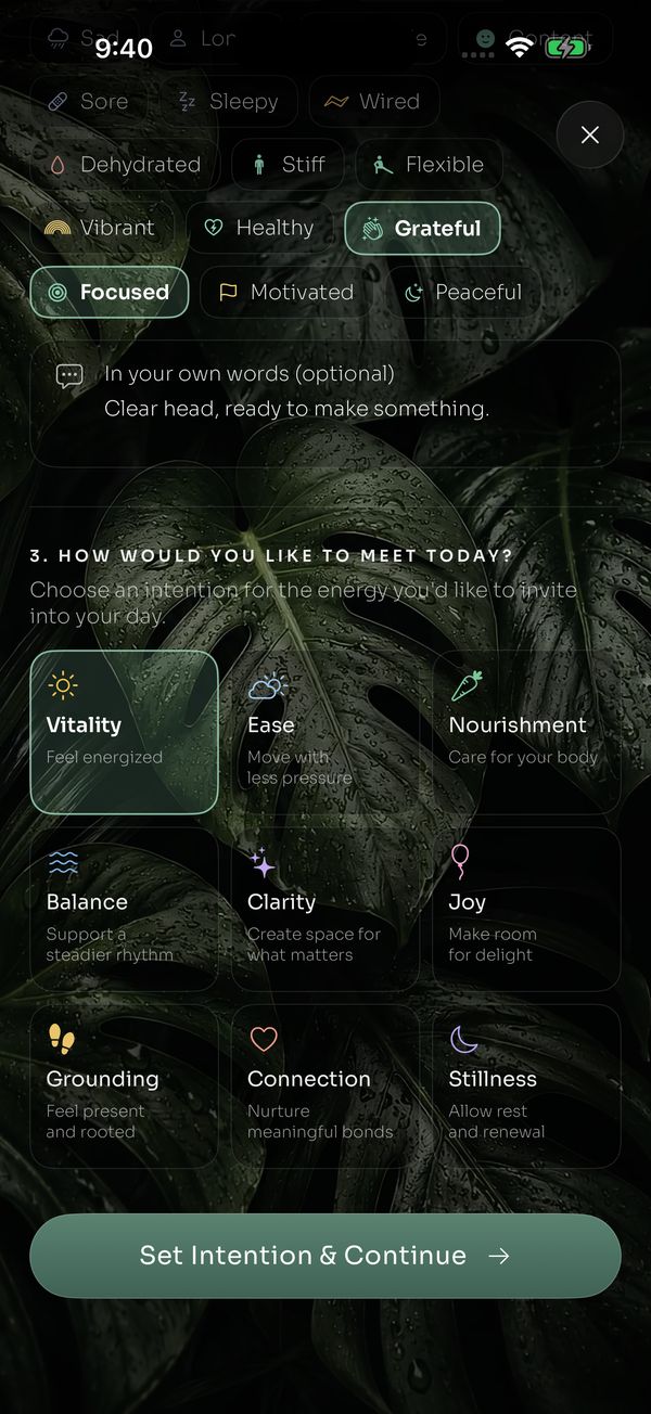 The ritual app's morning check-in, with a grid of intentions to choose from.